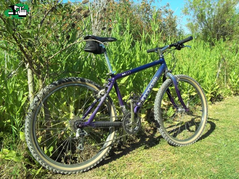 CANNONDALE M600 94