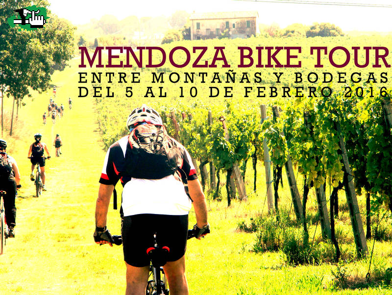 Mendoza, entre montañas y bodegas