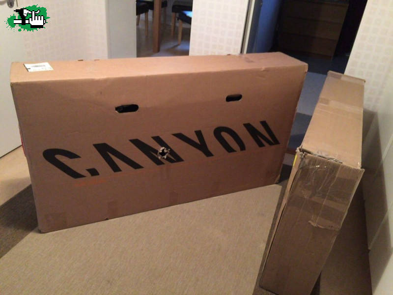 LLEGO LA CANYON!!!!!!
