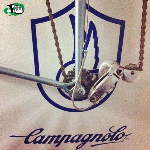 Campagnolo argentina