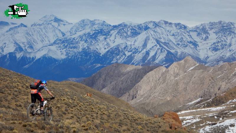 Arriero de guanacos