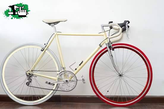 bici de diseo rutera robada