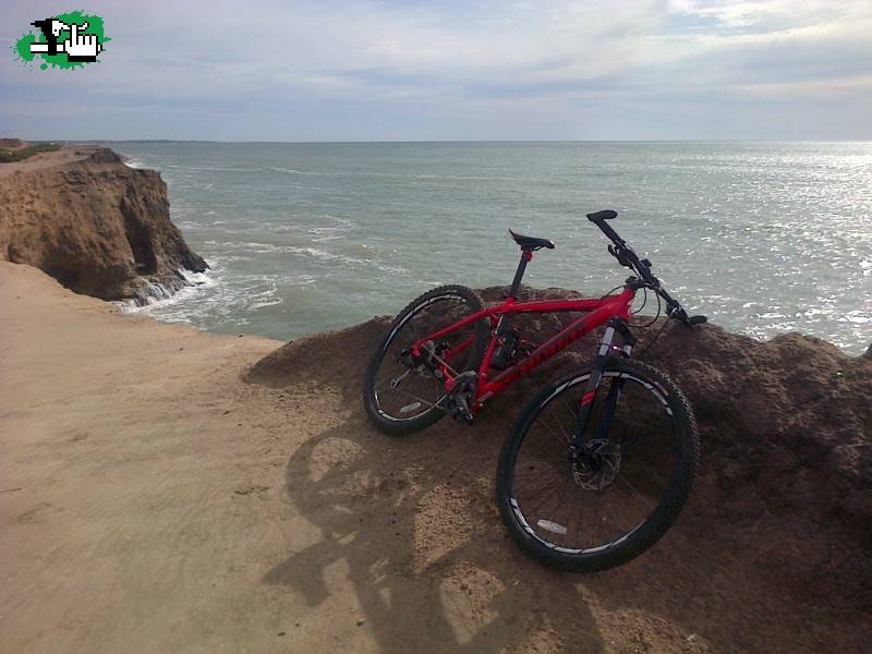 de vacas en Mar del Plata con mi amiga!!!