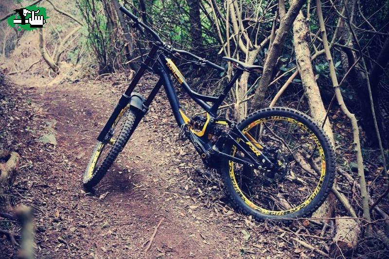 Vendo Permuto demo 8 por bici de enduro 