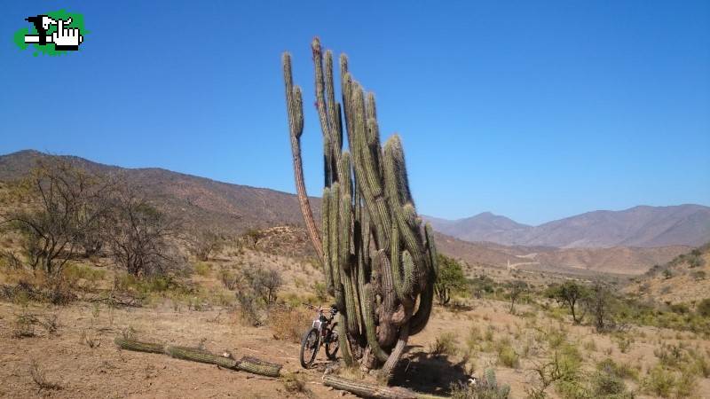 Escalada por el desierto, Valle del Choapa