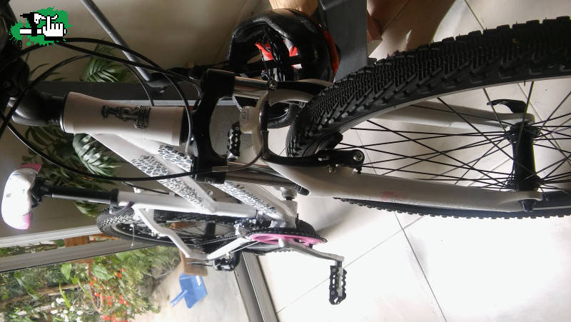Mi bici 