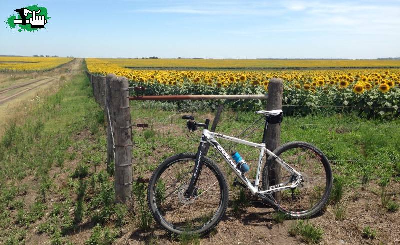 Entrenando por los caminos rurales de Miramar