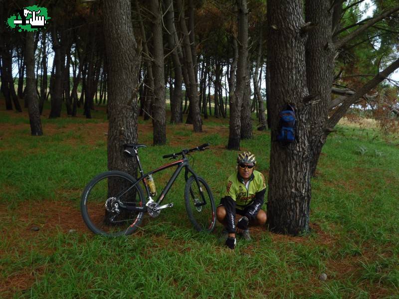 Pinar de Costa Bonita y Arenas Verdes