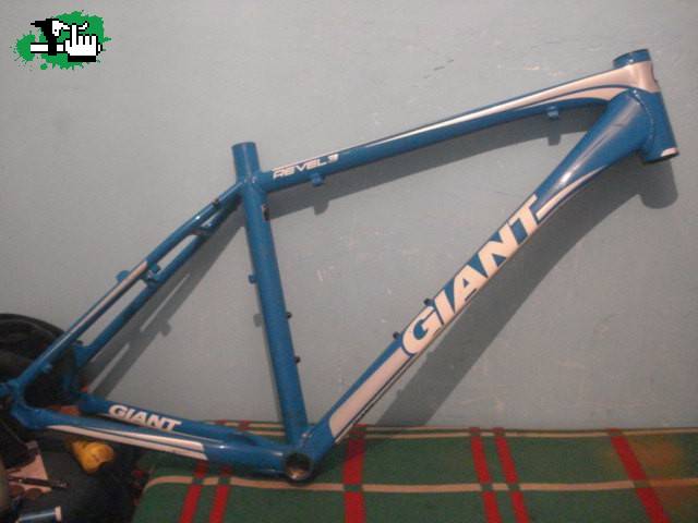 solangie1990