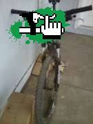 gustavocarig