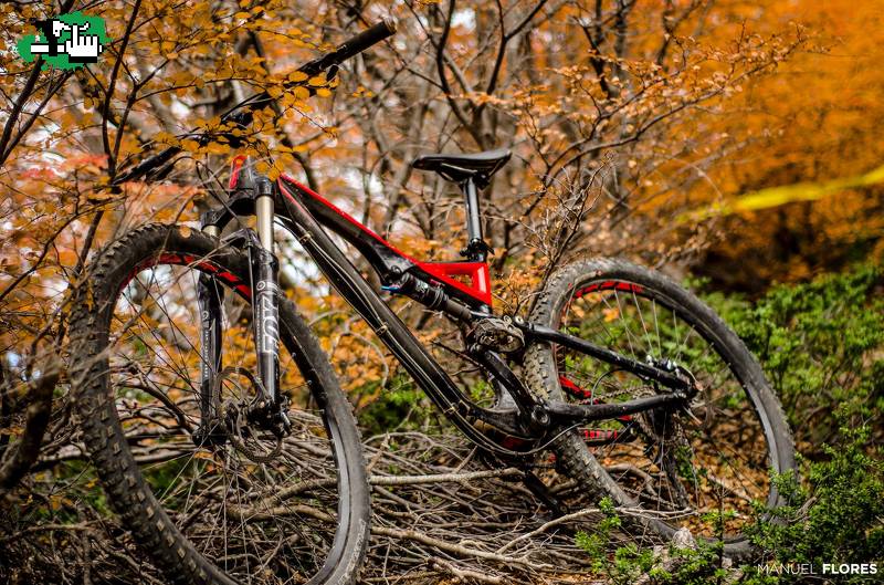 Specialized stumpjumper carbon 29