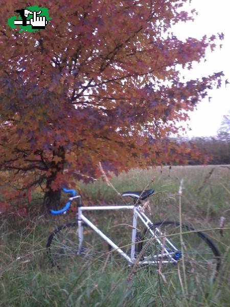 Fixieando en la fresca...