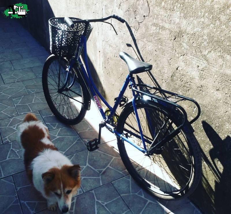 Bicicleta Inglesa