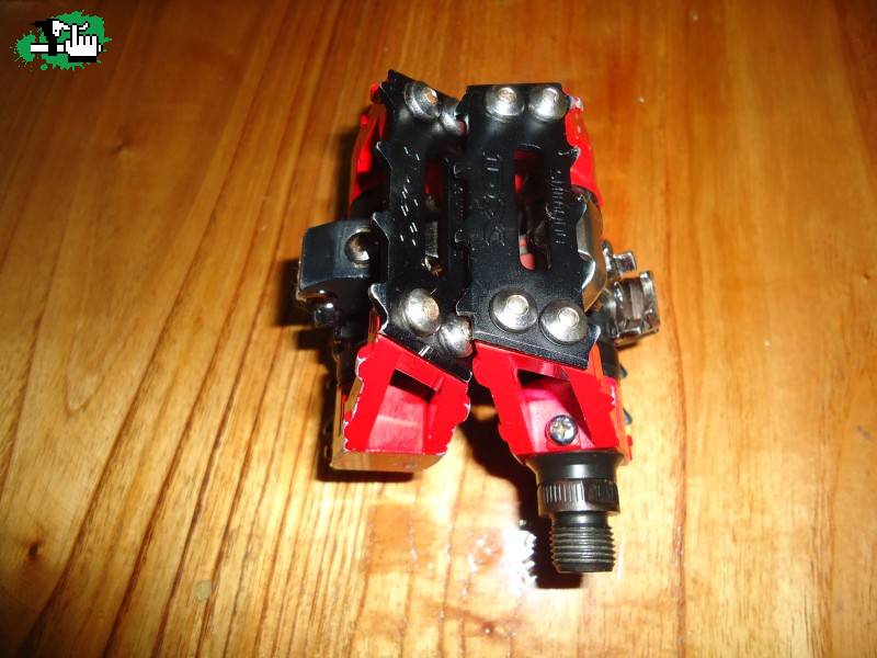 foxy2007