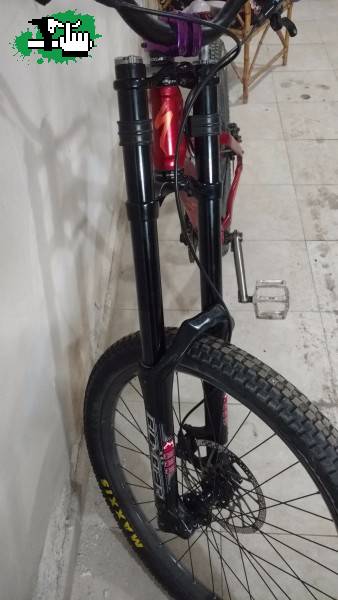 peladoxxxx