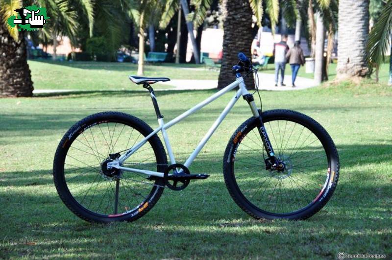 Crafty Alfine DI2 29er