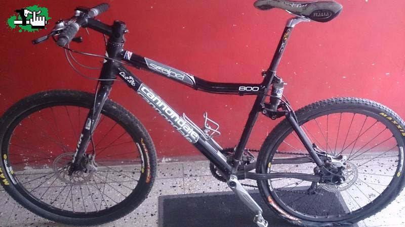 cannondale scalpel 800