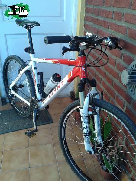 Permuto GIANT mtb por rutera