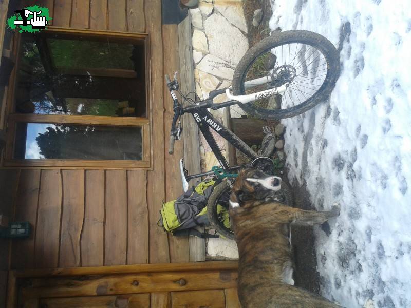 SnowreadybikE