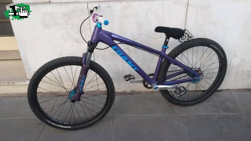 Viole --- Giant STP1