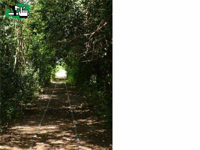 AHOR SI SE PUEDE VER VIDEO FOTO  CICLOTURISMO POR VIAS  EN TIEMPO REAL ALTAMIRA - TOMAS JOFRE