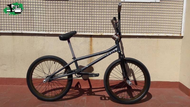 BikeCheck 2016 - FLATLAND