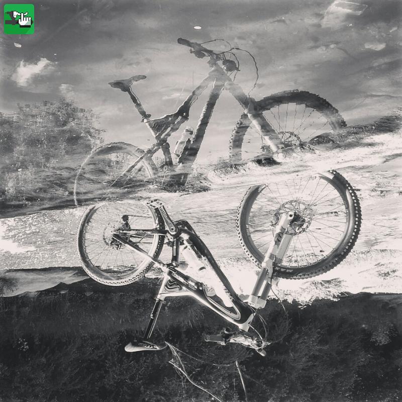 La Stumpy mirandose en el río... que linda es