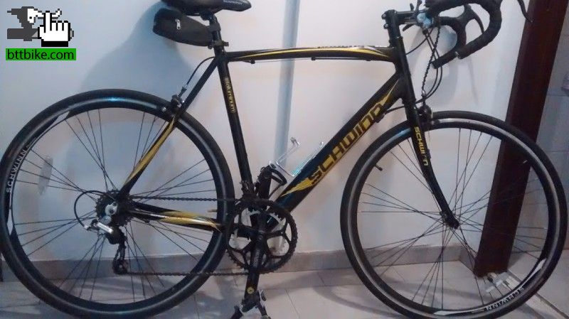 schwinn phocus