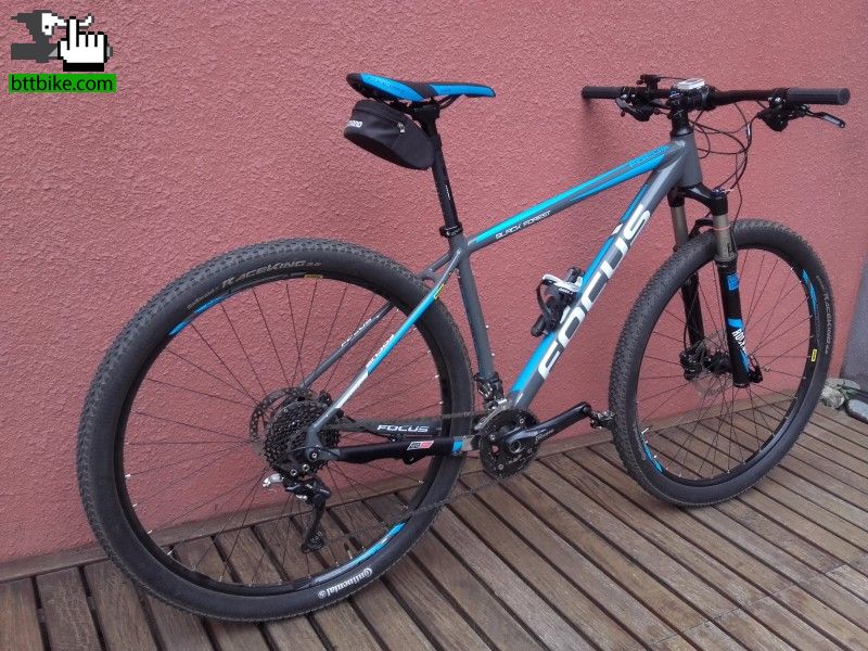 focus 29er