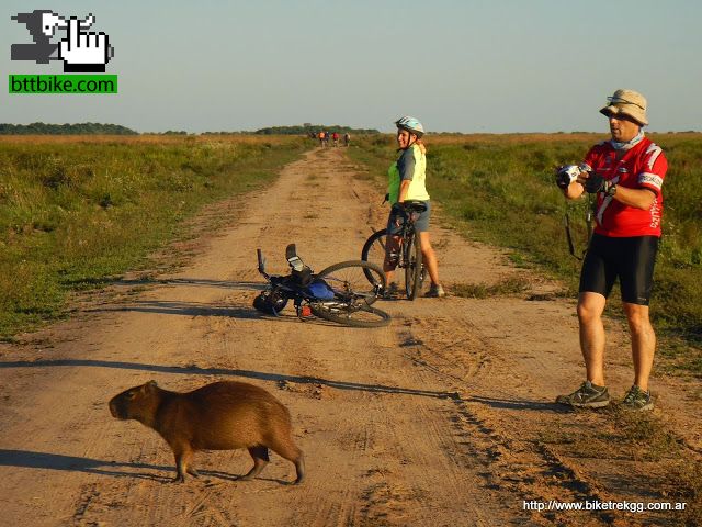 IBERA DESCONOCIDO + P.N. MBURUCUYA (Corrientes)