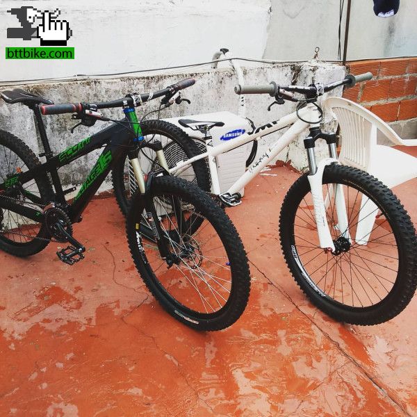 dos bestias