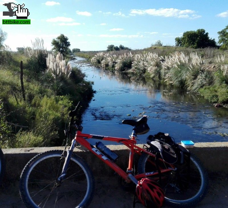 Naturaleza en la ciudad