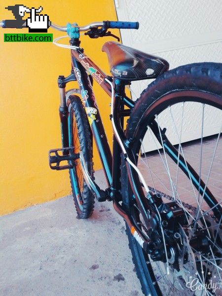 Mi Bike, la amo