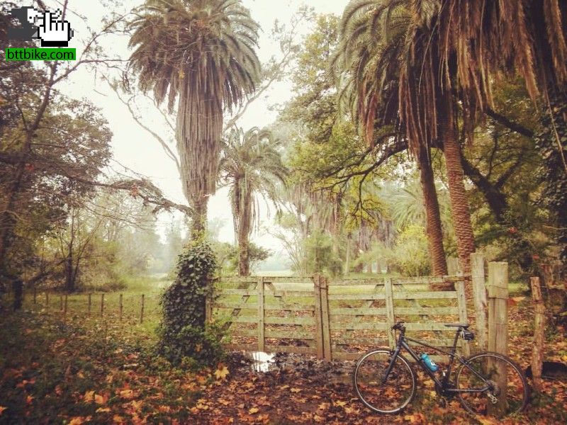 Otoo y sus colores en Parque Pereyra Iraola.