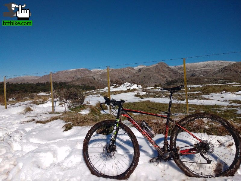 La negra en la nieve serrana.