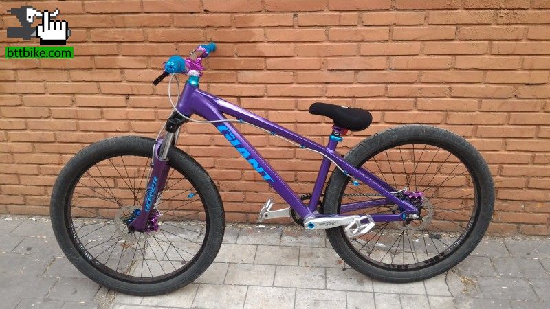 Viole, Giant STP 01