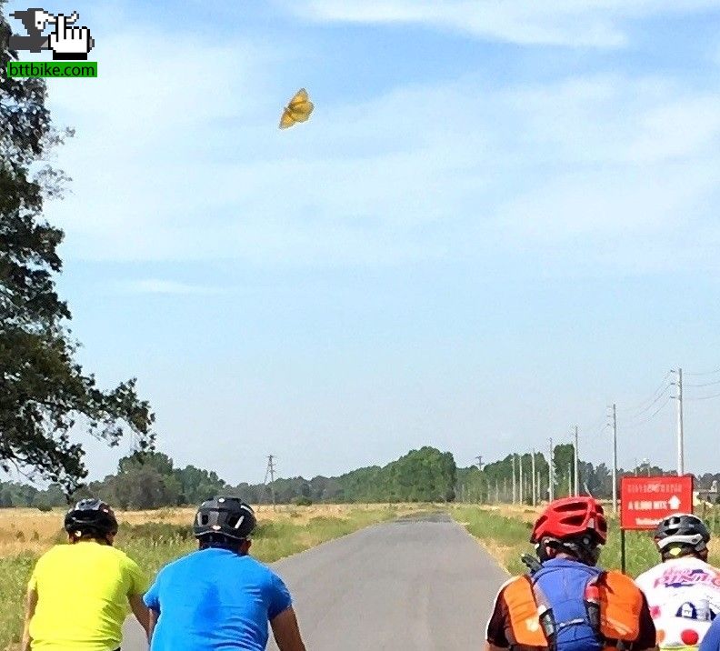 la Mariposa y los bikers