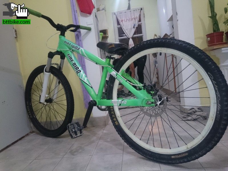 Nueva MTB file bird