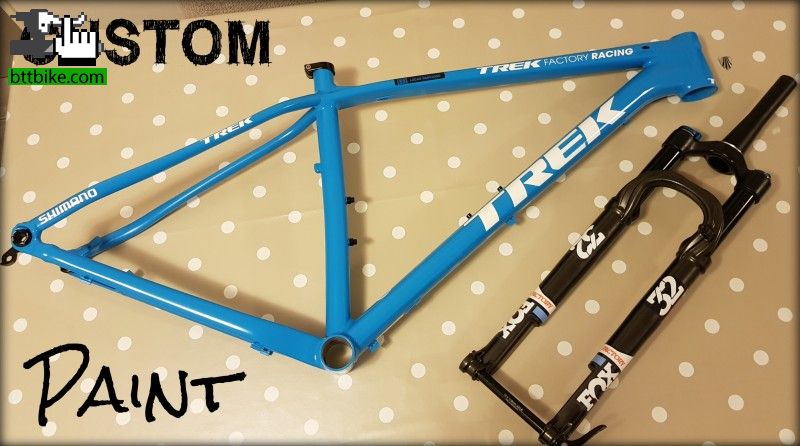 TREK CUSTOM Paint 