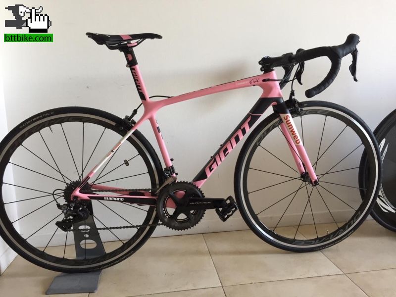 giant maglia rosa