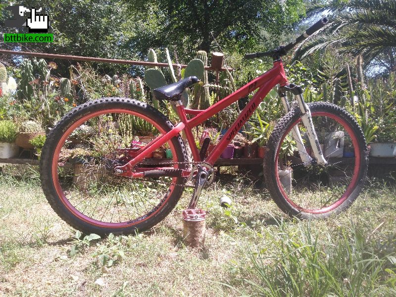Specialized p3 full dirt