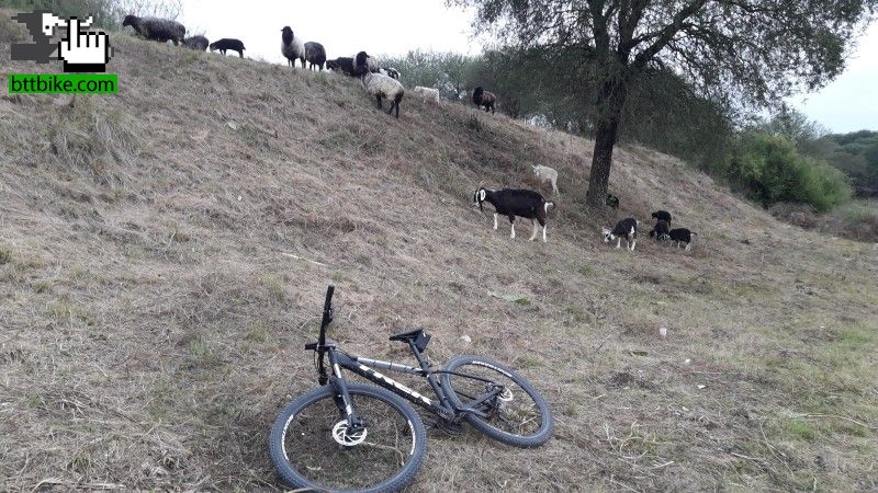 Sábado chivo !! 