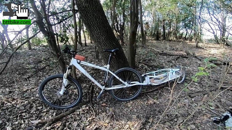 Haciendo leña del árbol caído