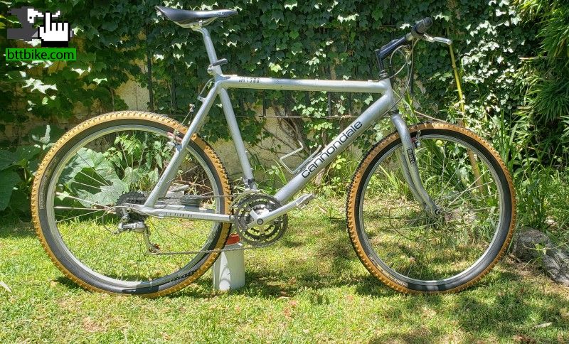 Cannondale sm1000 1991