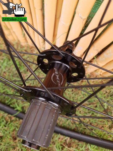 Rines shop axis ruta
