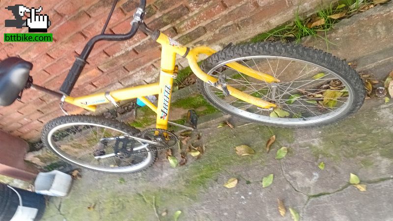 Bicicletas vroa