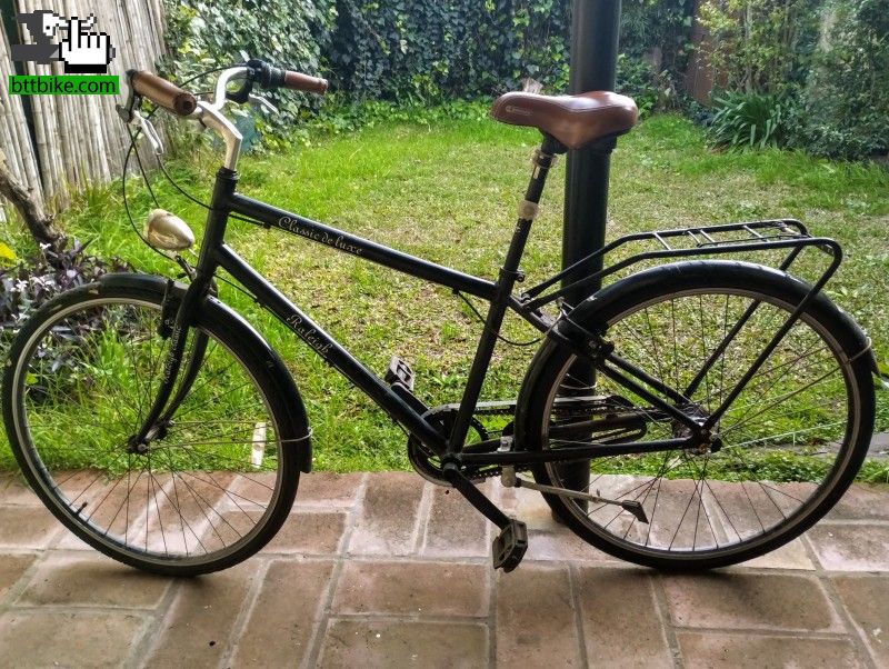Vendo Raleigh Classic