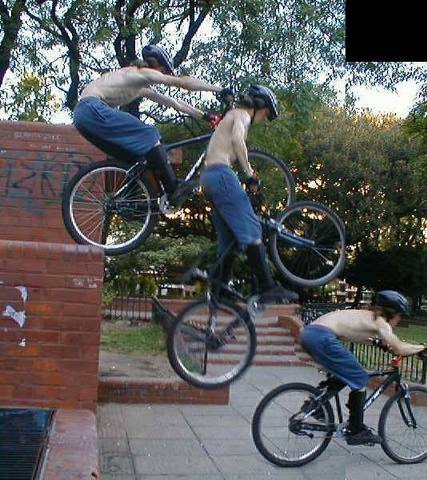Pollitos en aprendizaje 4 - Drop off x 4