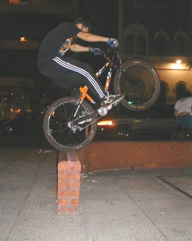 Ahuaca en la Vicente Lopez
