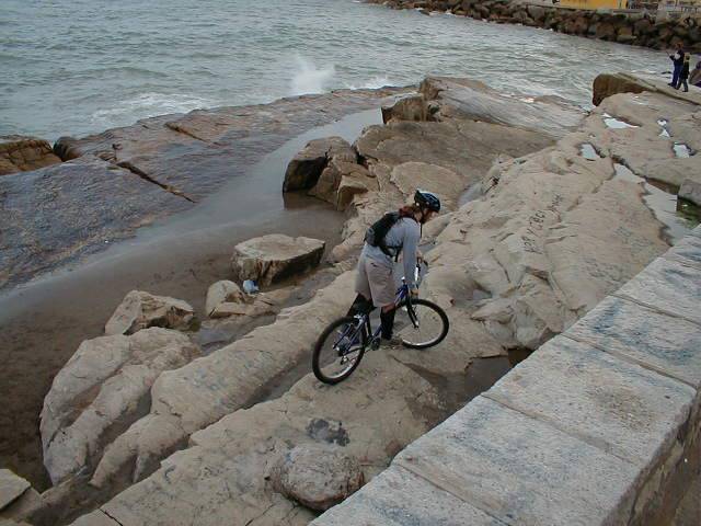 jans rei en las rocas del Mar del Plata